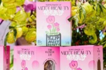 图4上海种业水培郁金香套装